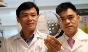 descoberta-adesivo-emagrecedor