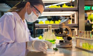 Biotecnologias sustentaveis revoluciona o setor de dermocosmeticos 41b96ce4