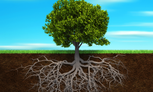 o que e saude integrativa 6538063d