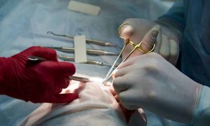 Estética não é monopólio: a hipocrisia da reserva de mercado médica e o avanço legítimo dos biólogos 11 surgery in a dental clinic 2021 09 02 02 46 55 utc scaled 87bb040d