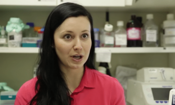 Obesidade e inflamação: biomédica descobre relação científica