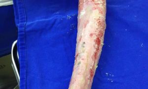 %5ED20D810CD036015063435C53400EFB959699F8C337E7738476%5Epimgpsh fullsize distr bcce4c42