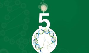 Dra. Ana Carolina Puga participa de reunião histórica para biomédicos estetas; confira a ata 12 Sociedade Brasileira de Biomedicina Estética comemora 5 anos de atuação