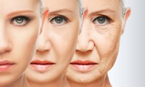 32d48d56 9288 4fa3 a67c e2eb801cc6d0 f94b9587