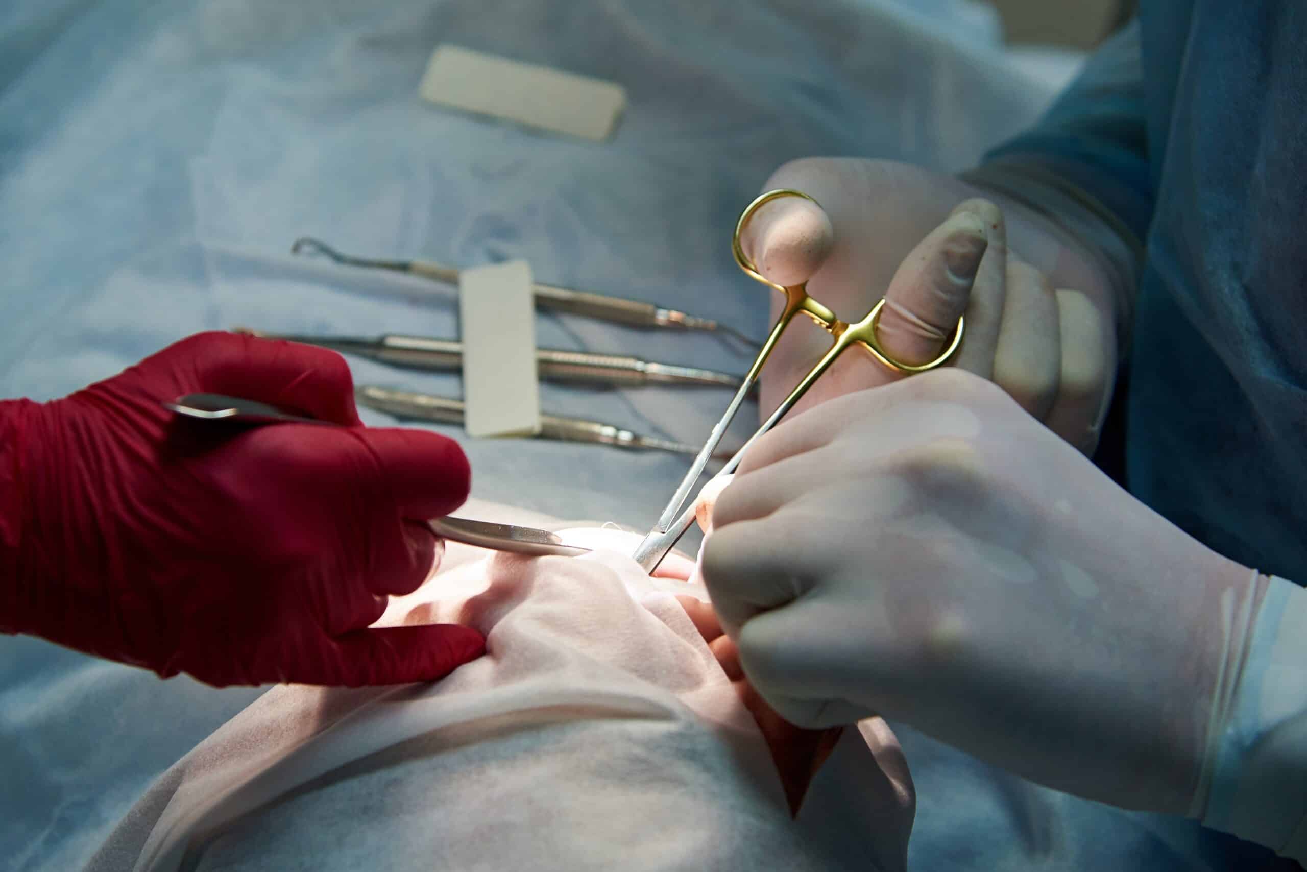 surgery in a dental clinic 2021 09 02 02 46 55 utc scaled